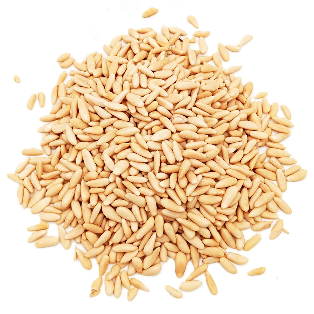 PIGNON BALDI